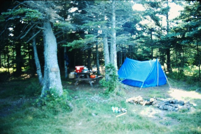 My beautiful picture